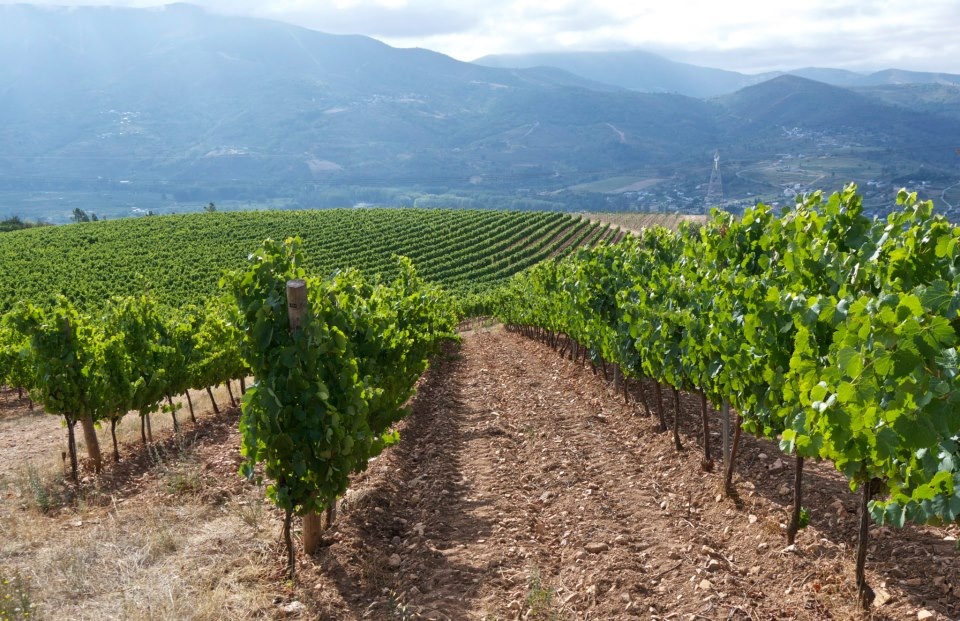 Galería de imágenes